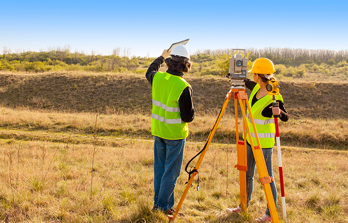 Surveyors